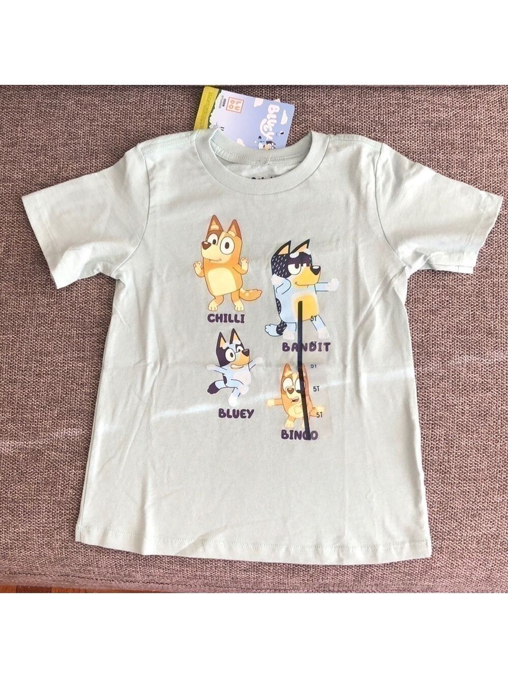MOOSE Toddler Boy Girl Bluey Printed Short Sleeve T-Shirt Green 5T